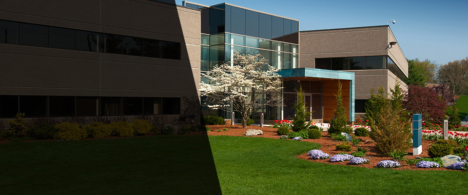 Marshfield Landscapers